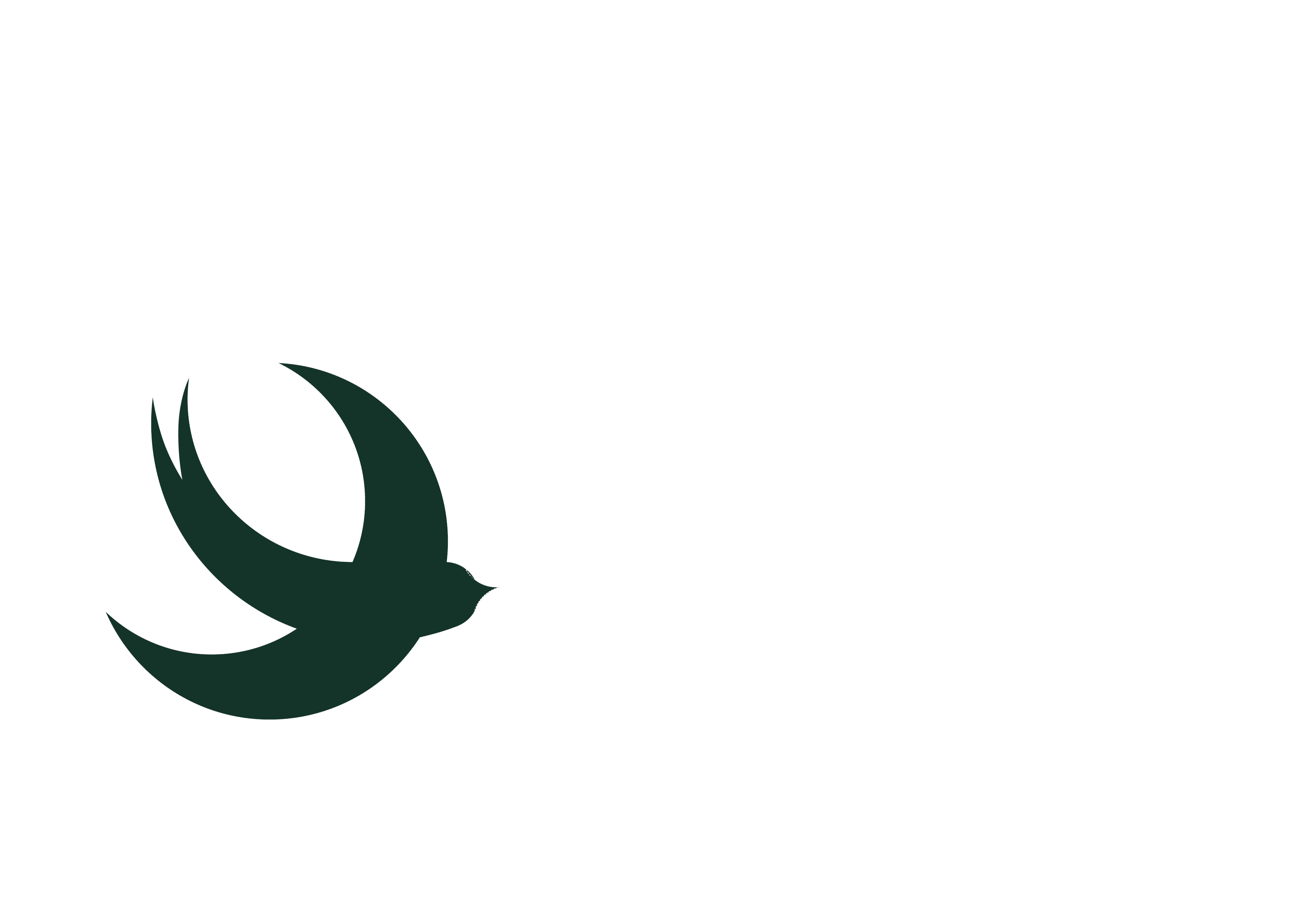 irundi-projects logo